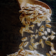 Colloidal Oat Extract